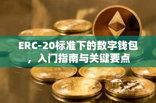 ERC-20标准下的数字钱包，入门指南与关键要点