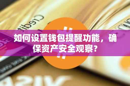 如何设置钱包提醒功能,确保资产安全观察?