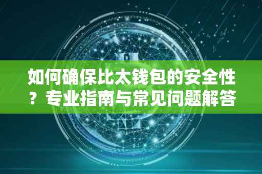 如何确保比太钱包的安全性？专业指南与常见问题解答