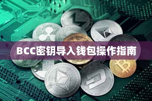 BCC密钥导入钱包操作指南