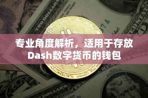 专业角度解析，适用于存放Dash数字货币的钱包