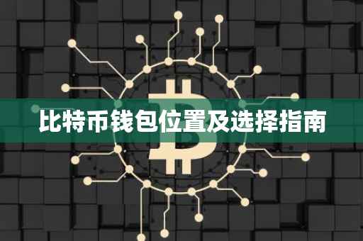 比特币钱包位置及选择指南