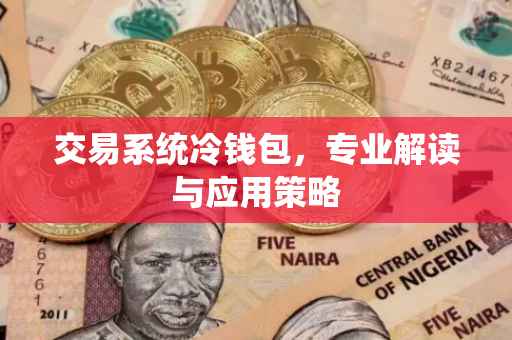 交易系统冷钱包,专业解读与应用策略