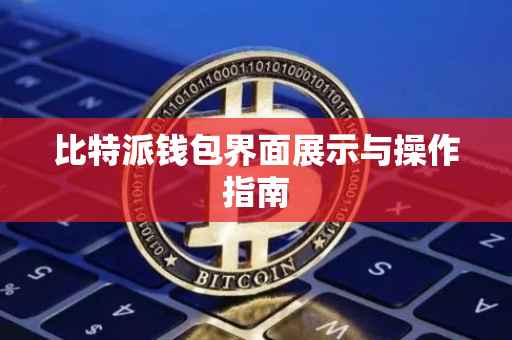 比特派钱包界面展示与操作指南
