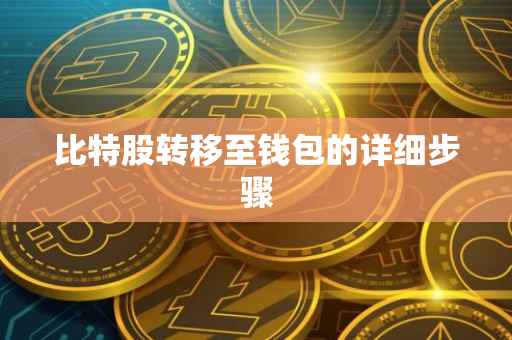 比特股转移至钱包的详细步骤