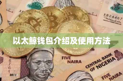 以太鲸钱包介绍及使用方法