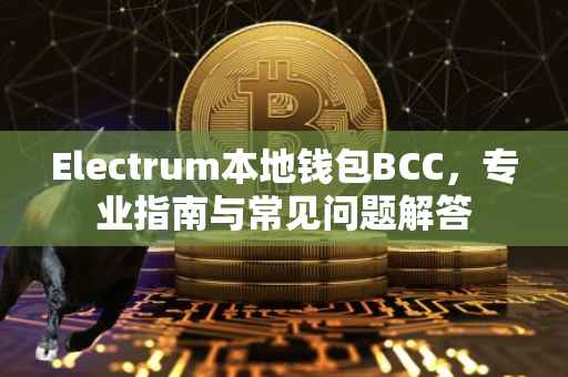 Electrum本地钱包BCC，专业指南与常见问题解答