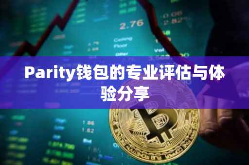Parity钱包的专业评估与体验分享