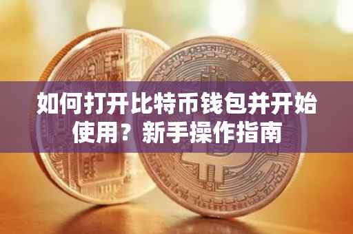 如何打开比特币钱包并开始使用？新手操作指南