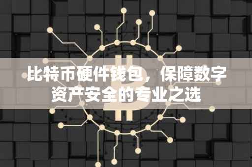 比特币硬件钱包，保障数字资产安全的专业之选