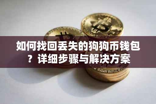 如何找回丢失的狗狗币钱包？详细步骤与解决方案