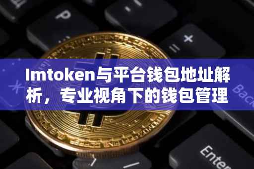 Imtoken与平台钱包地址解析，专业视角下的钱包管理与安全策略
