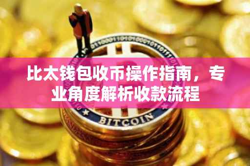 比太钱包收币操作指南，专业角度解析收款流程