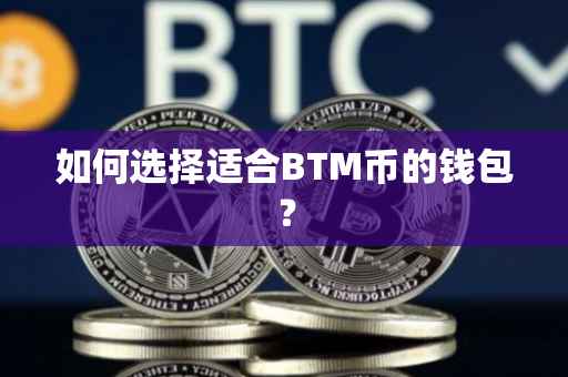 如何选择适合BTM币的钱包?