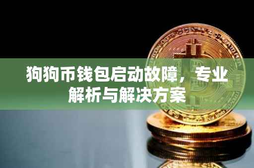 狗狗币钱包启动故障，专业解析与解决方案