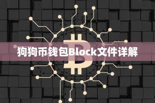 狗狗币钱包Block文件详解