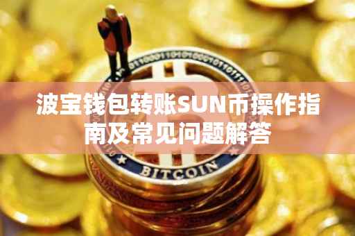 波宝钱包转账SUN币操作指南及常见问题解答
