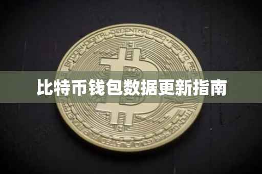 比特币钱包数据更新指南