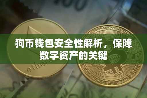 狗币钱包安全性解析，保障数字资产的关键