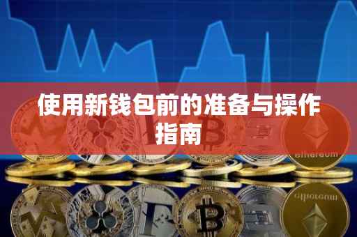 使用新钱包前的准备与操作指南