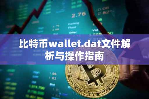 比特币wallet.dat文件解析与操作指南