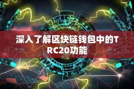 深入了解区块链钱包中的TRC20功能