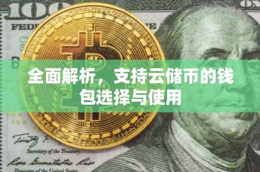 全面解析,支持云储币的钱包选择与使用