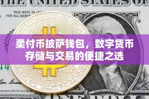 柔付币披萨钱包，数字货币存储与交易的便捷之选