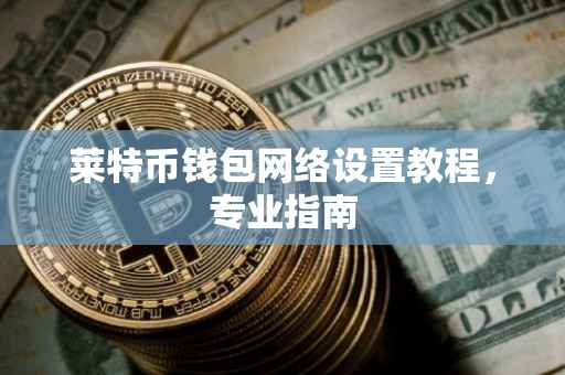 莱特币钱包网络设置教程，专业指南