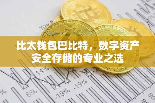 比太钱包巴比特,数字资产安全存储的专业之选