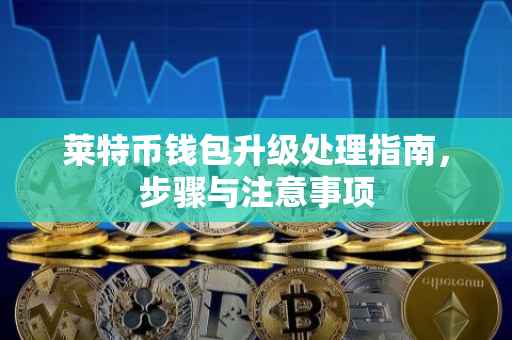 莱特币钱包升级处理指南，步骤与注意事项