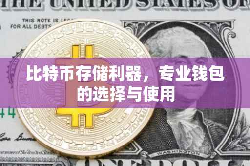 比特币存储利器，专业钱包的选择与使用