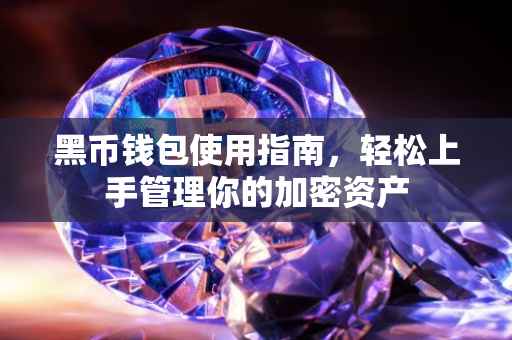 黑币钱包使用指南，轻松上手管理你的加密资产