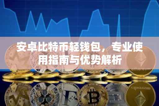 安卓比特币轻钱包，专业使用指南与优势解析
