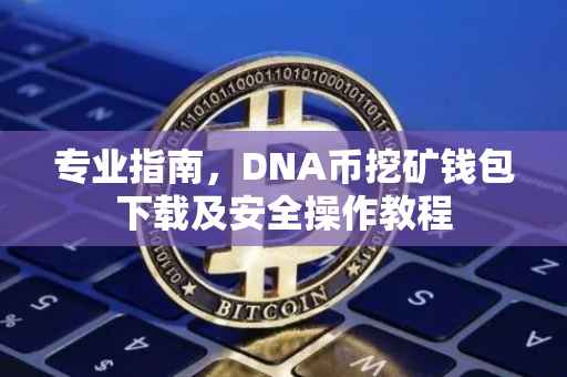 专业指南，DNA币挖矿钱包下载及安全操作教程