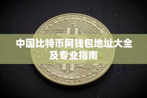 中国比特币网钱包地址大全及专业指南