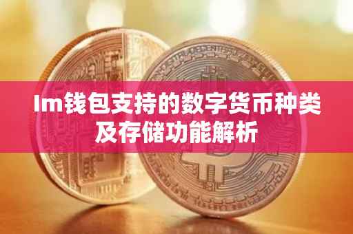 Im钱包支持的数字货币种类及存储功能解析