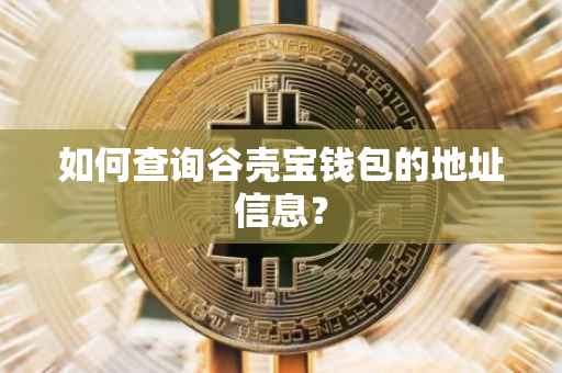 如何查询谷壳宝钱包的地址信息？
