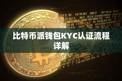 比特币派钱包KYC认证流程详解