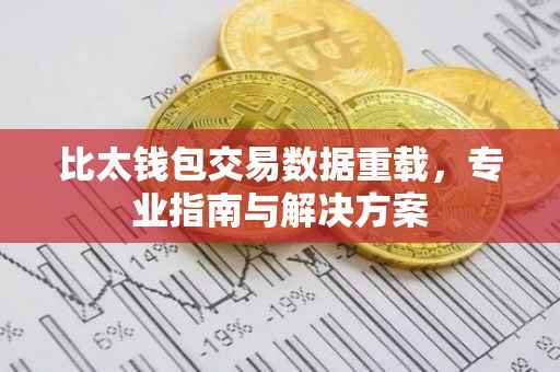 比太钱包交易数据重载，专业指南与解决方案