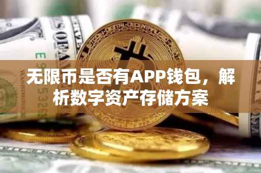 无限币是否有APP钱包，解析数字资产存储方案