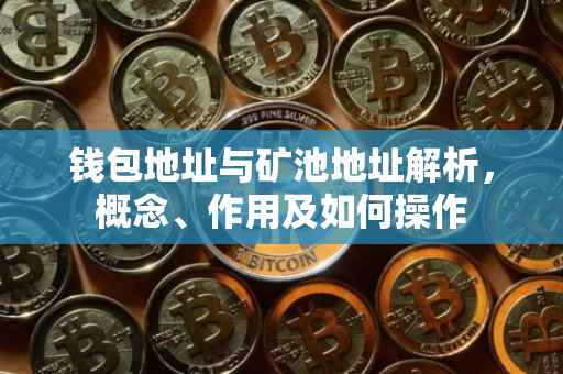 钱包地址与矿池地址解析，概念、作用及如何操作