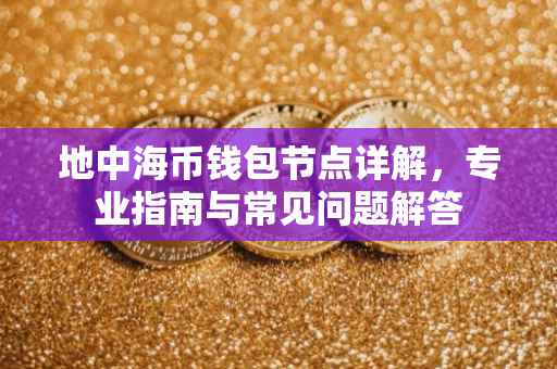 地中海币钱包节点详解，专业指南与常见问题解答