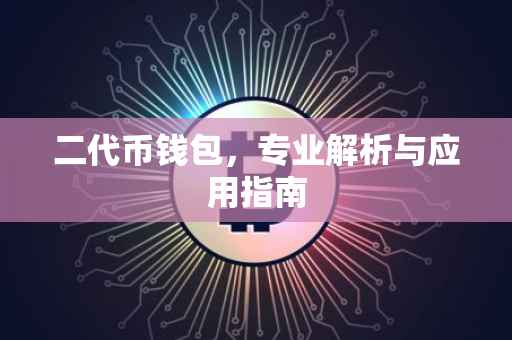 二代币钱包，专业解析与应用指南