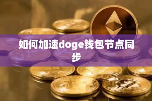 如何加速doge钱包节点同步