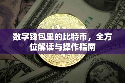 数字钱包里的比特币，全方位解读与操作指南