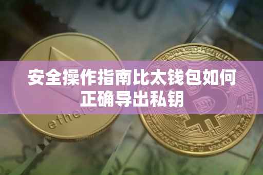 安全操作指南比太钱包如何正确导出私钥