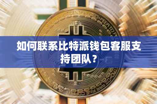 如何联系比特派钱包客服支持团队?