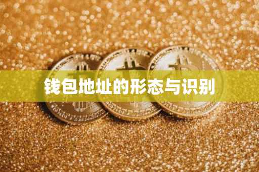钱包地址的形态与识别