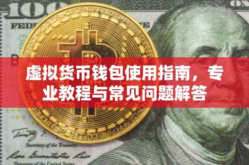 虚拟货币钱包使用指南,专业教程与常见问题解答